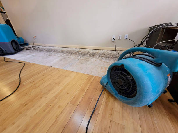 Professional Basement Flood Cleanup technician working in Lyndhurst, VA